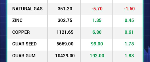 Robo Advisory Facility